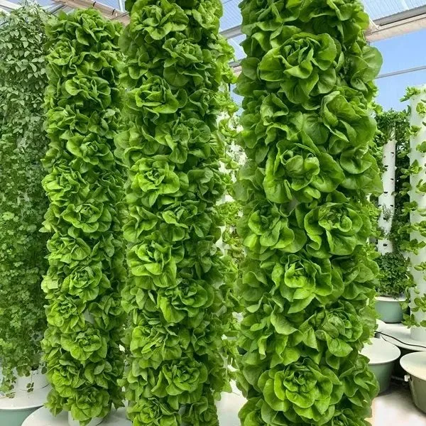 Großhandel Haushalt Günstige Vertikale Turm Hydroponic System Indoor Growing Kit China-Hersteller