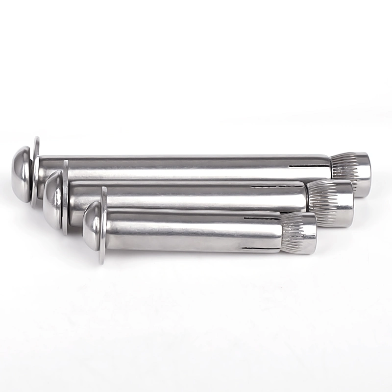 Anchor Bolt A2 A4 Stainless Steel Expansion Wedge Anchor