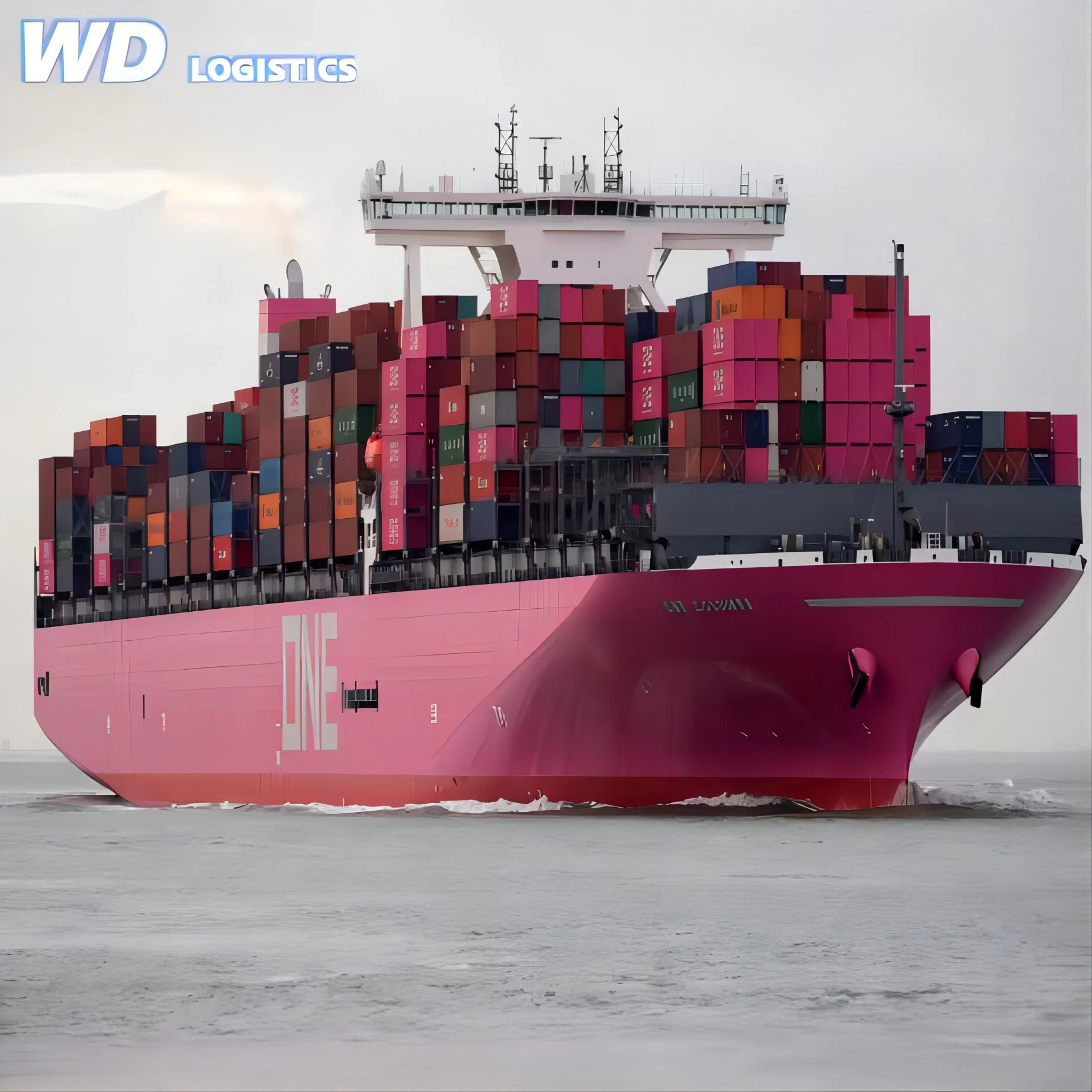 Efficient Ocean Cargo Services Sea Freight Forwarder From China to Belgium Brussels Waterloo Antwerp Ghent Bruges Hasselt DDP Fob