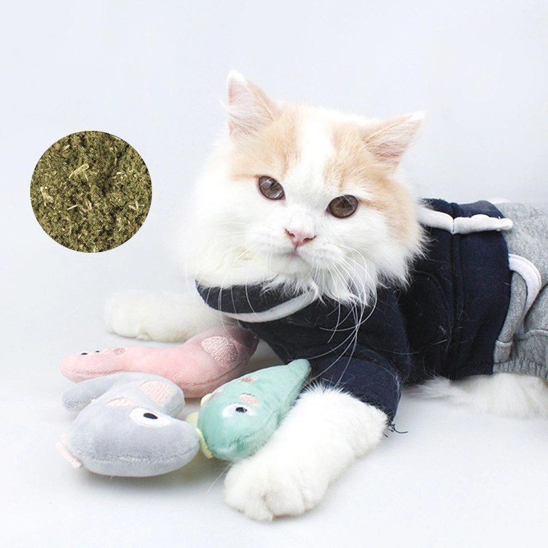Factory Wholesale/Supplier Pet Toys Plush Toys for Dogs Pet Items Knit Plush Bunny Cat Chew Toys