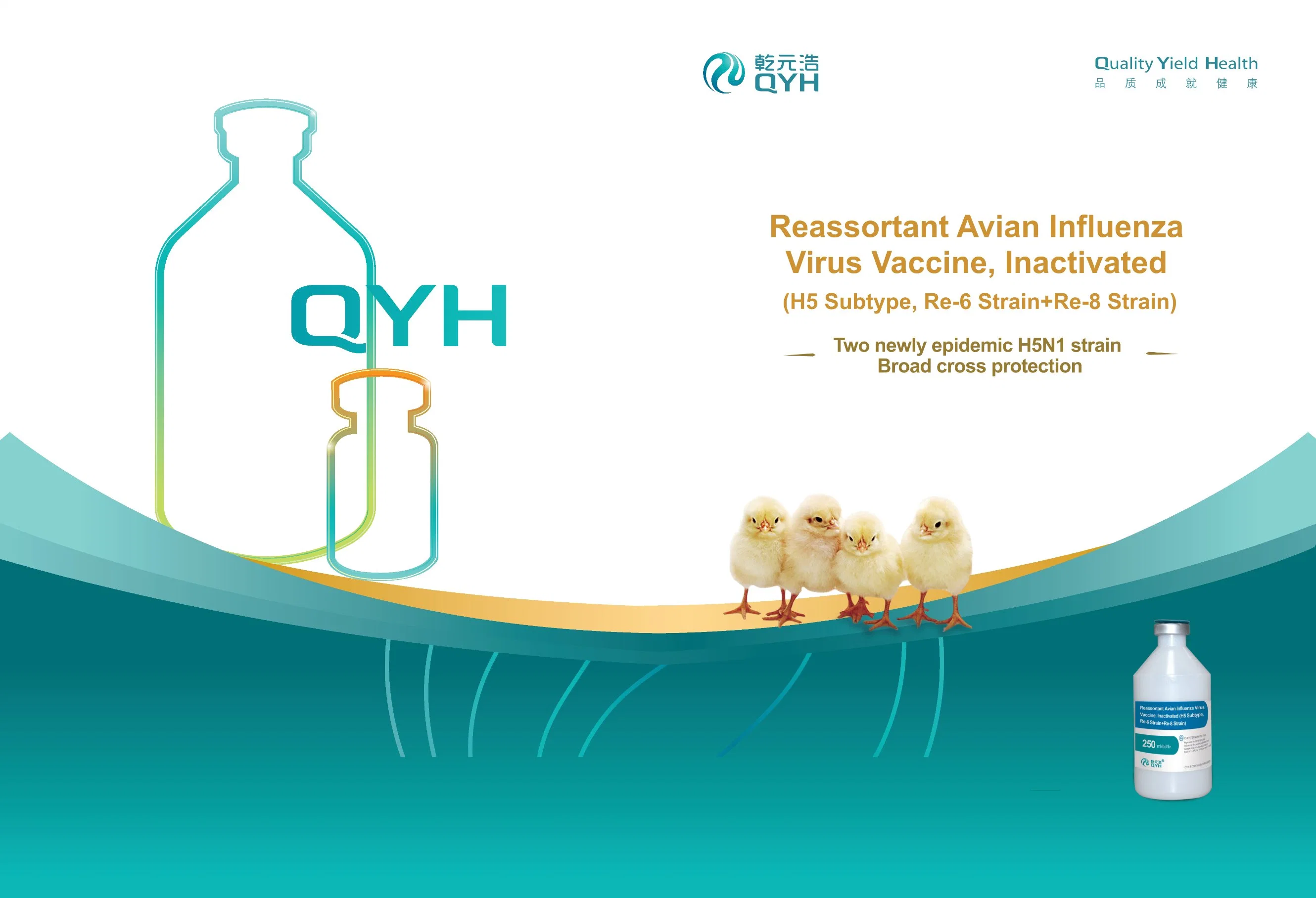 Berberine Hydrochloride Tablets for Sensitive Pathogenic Bacteria Caused by Bacterial Dysentery and Other Intestinal Infections