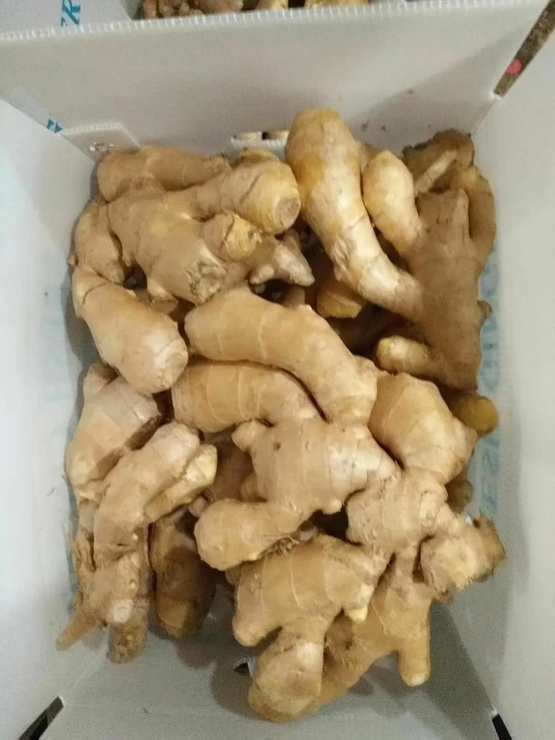 Europe Standard Air Dry Ginger for Export