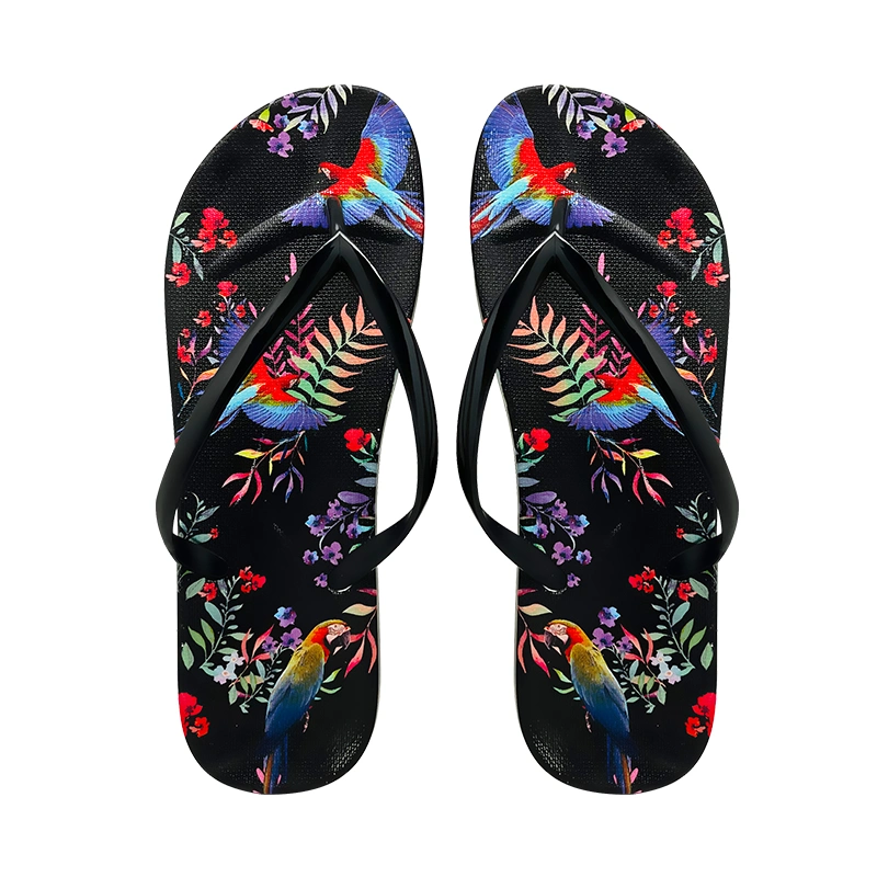 Wholesale/Supplier Ladies Shoes Beach Flip Flop Brand Name Shoes