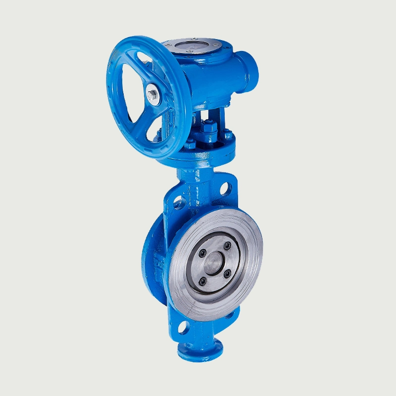 GB/ANSI/JIS/DIN Butterfly Valve Hard/Soft Seal Flange/Wafer/Weld Lug