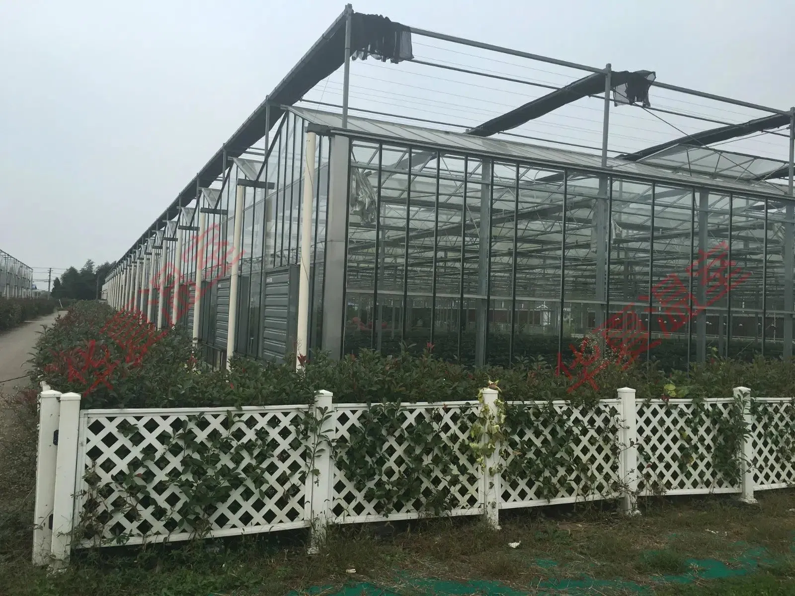 Hydroponic Thermal Break Glass Greenhouse with Water and Fertilizer System