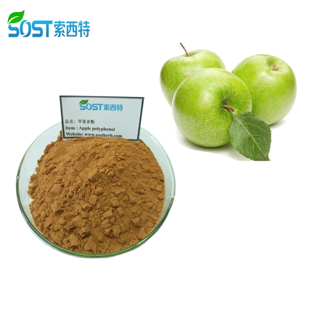 SOST Best Price Top Quality green apple extract