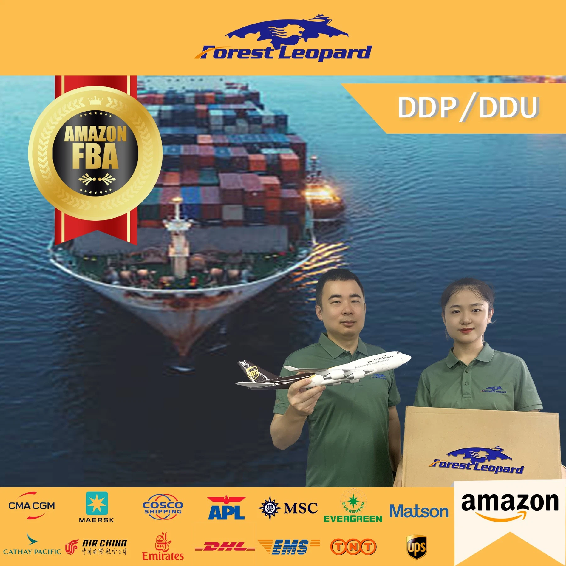 Freight Forwarder Transport DDP Amazon Fba Sea Freight to UK Italy France Poland New Zealand United States