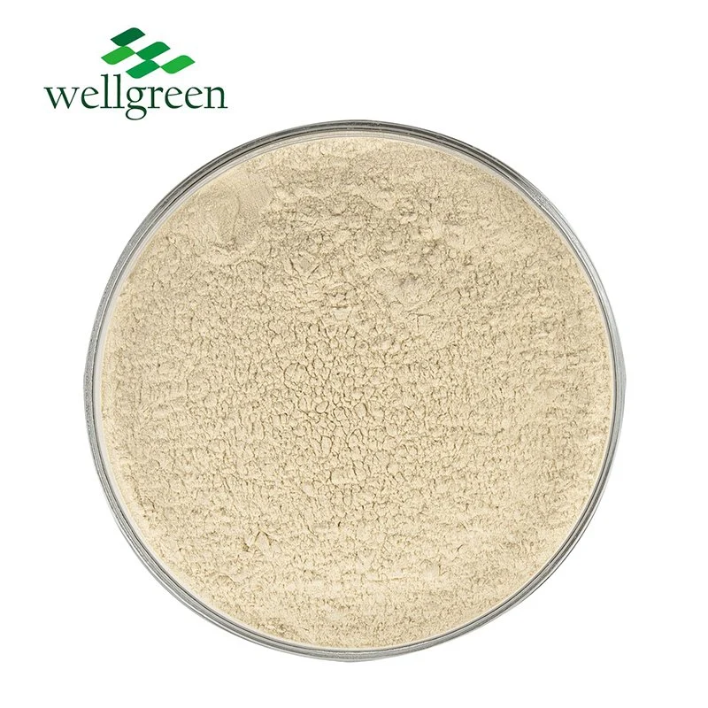 Wellgreen granel Natural extracto de romero Rosmarinus officinalis Rosmarinic polvo ácido