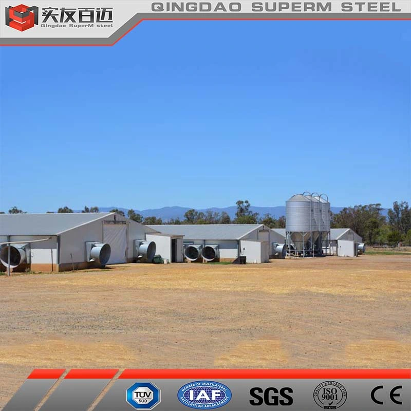 High Strength Light Steel Structure Building Poultry Chicken Broiler Farm House