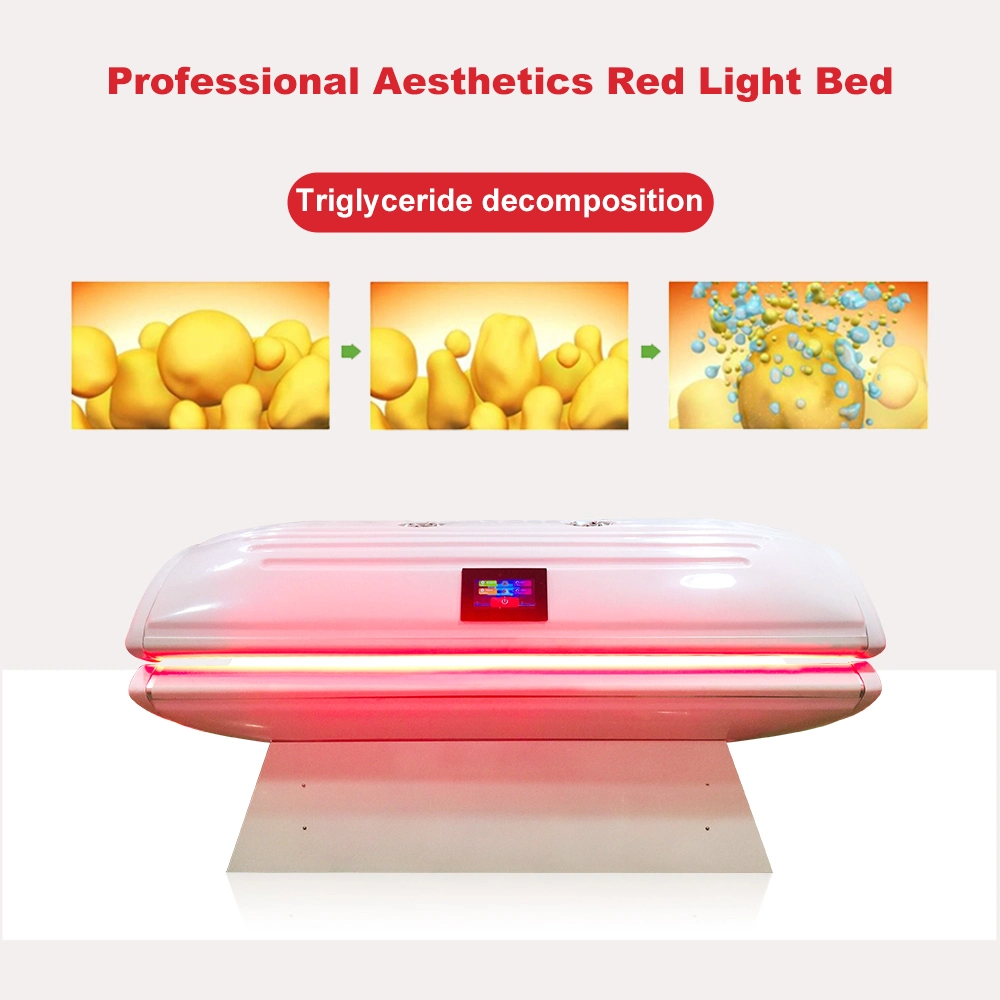 Red Light Therapy Wound Recovery Skin Beauty Bed