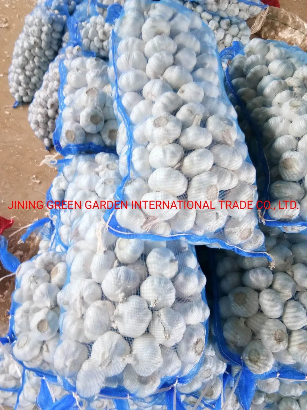 2022 Fresh Garlic Pure Normal White Color Specification 4.5cm 5.5cm 6.0cm Fresh Chinese 4p 5p 6p Pure White Garlic Vegetables