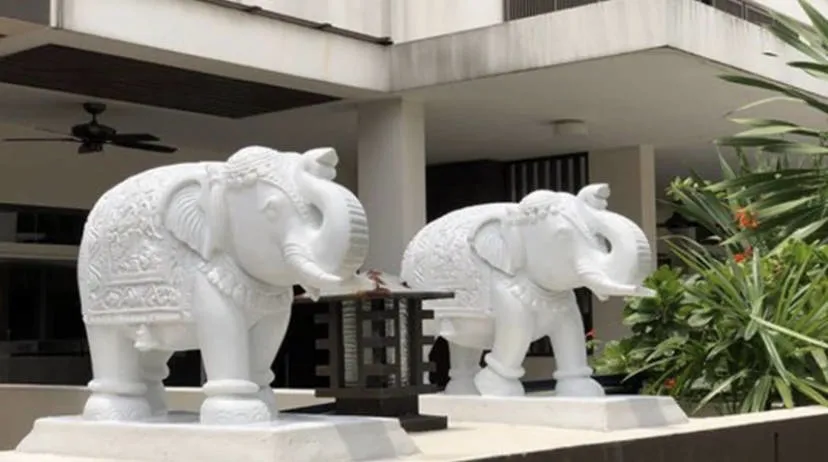 Handmade Marble Stone Animal Sculpture Elephant Statue for Garden Decor