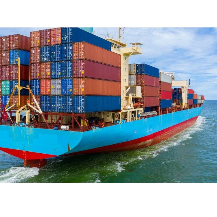 Ocean Freight Price to Dakar-Tema-Lome-Tincan Cma Shipping Line