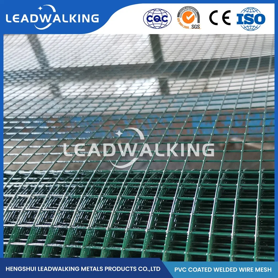 Leadwalking Hot Selling Galvanized Welded Wire Mesh Fencing Wholesale/Supplierr High-Quality 2X2 Galvanized Welded Wire Mesh China Powder Coated Welded Wire Mesh