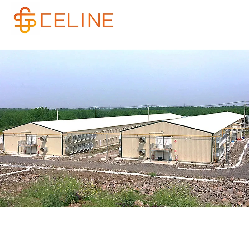 Industrial Factory Storage Hangar Metal Frame Construction Structure Warehouse Steel Building with Design Service