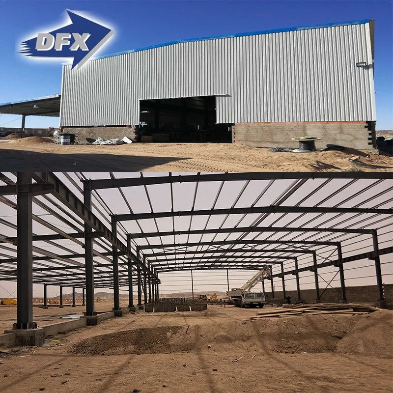 Cost Effective Factory Steel Frame Garments Shed Structure