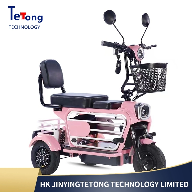 Hot Sale Three Wheel Cargo Tricycle for Take Kids / Electric Tricycle for Take Children with 600W Big Power