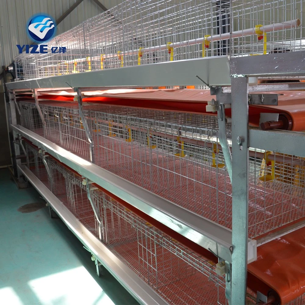 Automatic Broiler Chicken Cage Livestock Poultry Farming Equipment Broiler Cages