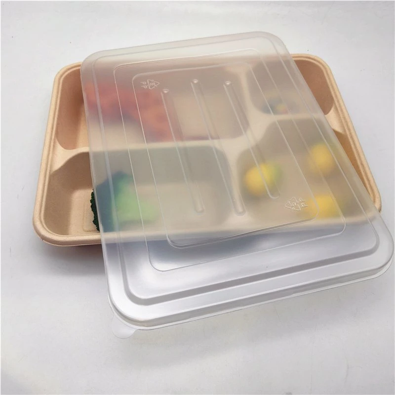 Biodegradable Practical Non-Toxic Cornstarch Tray Packing Box