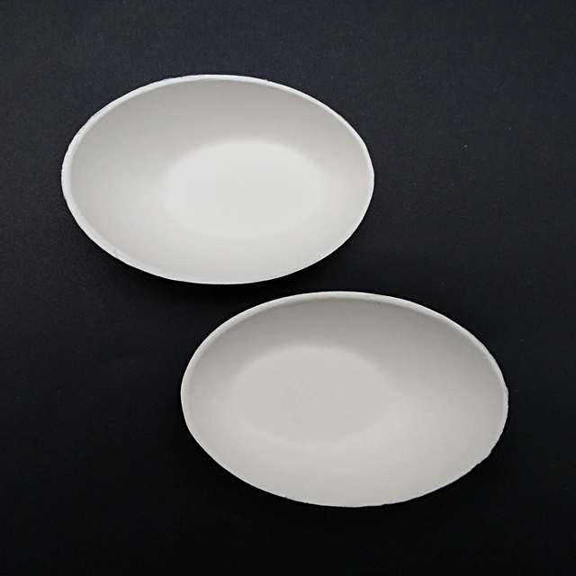 New Style Biodegradable Container Disposable Bagasse Sugarcane Sauce Dish