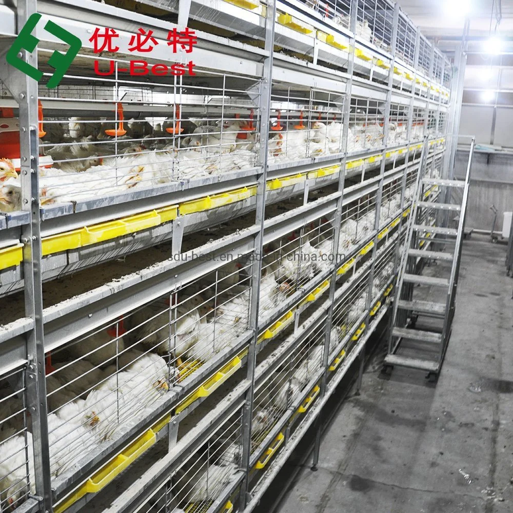 4 Tier Modern Design Steel Structure House Automatic Broilers Chicken Battery Cage System for Sale