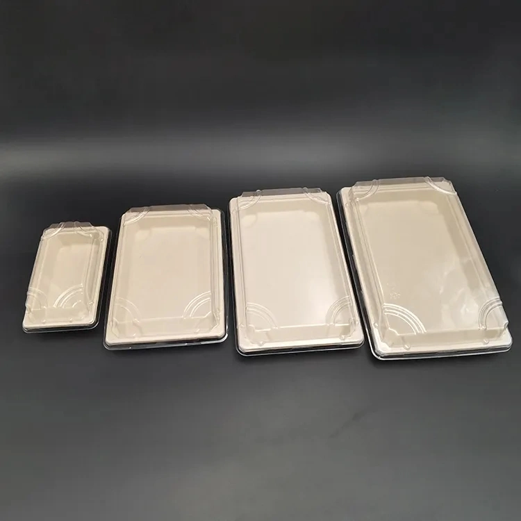 Disposable Sugarcane Tableware Environmental Protection Bagasse Rectangle Tray