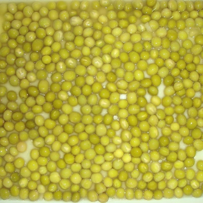 425g Conservas de guisantes con mejor calidad