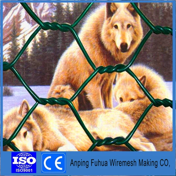 Chicken Wire Mesh for Feeding Chicken and Other Animals