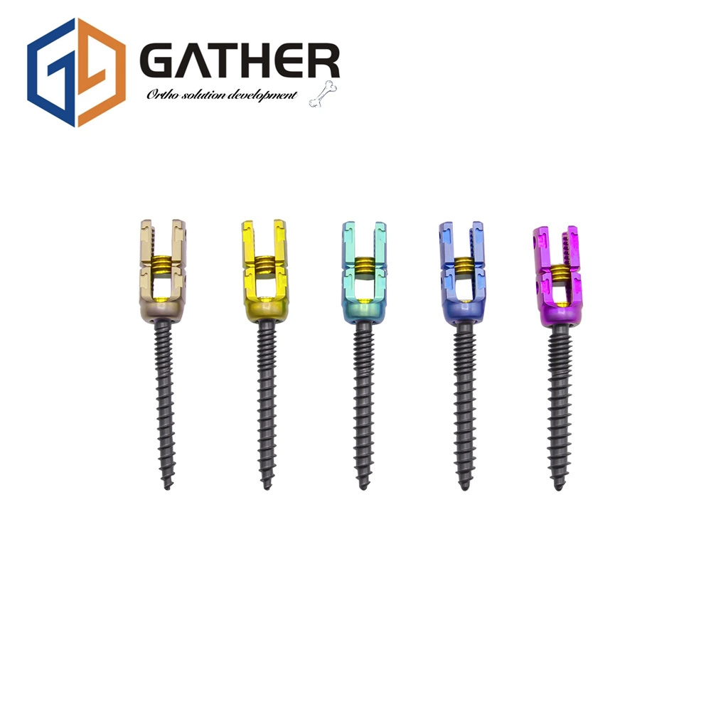 Gather Titanium Sterilized, PE Bag, Carton Package Spine Lumbar Screw Spinal Fixation