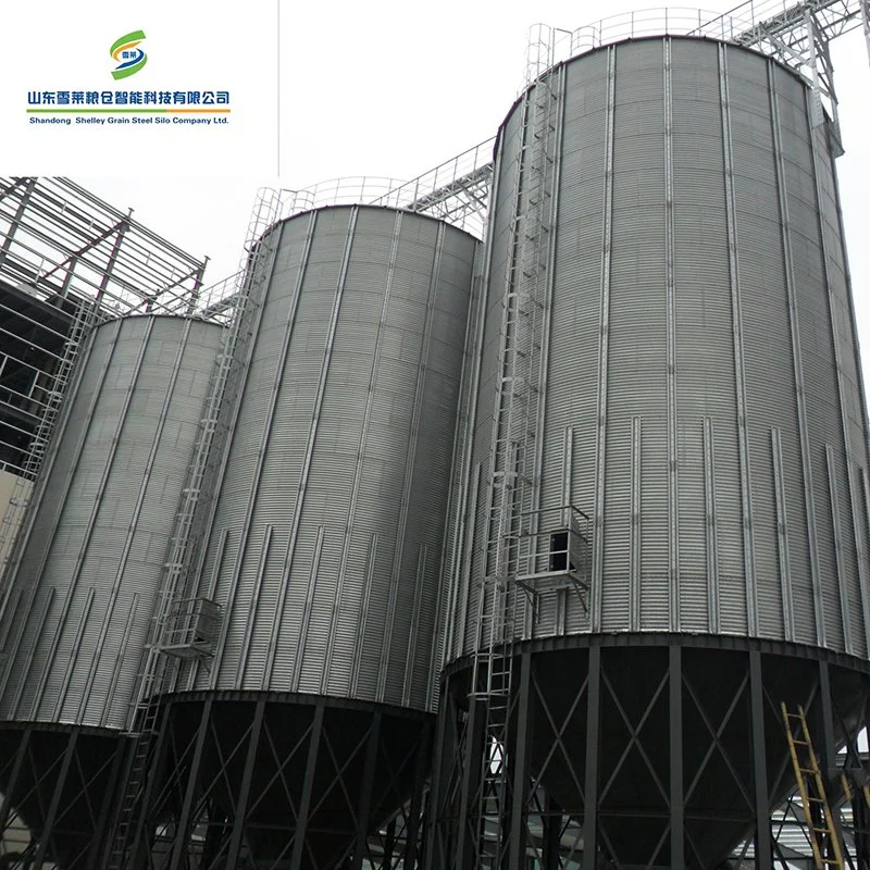 Galvanized Steel Silo 500ton 1000ton Steel Hopper Bottom Silo Grain Wheat Maize Corn Silo