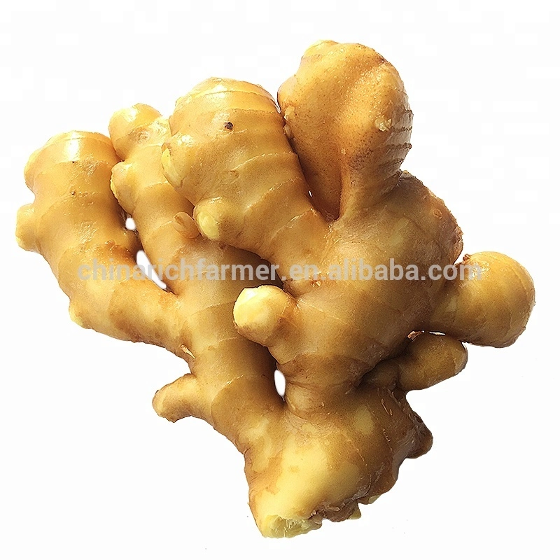 2023 Ginger Factory Supplier Air Dry Ginger in PVC Boxes