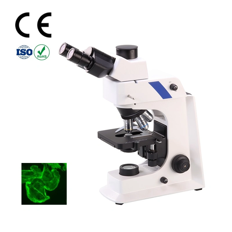 Olympus Triocular Contrast Fluorescence Video Biological Microscope Pictures & Photos