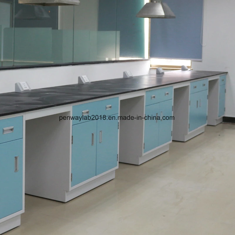 Stainless Steel Painted Steel MDF Material Laboratory Furniture