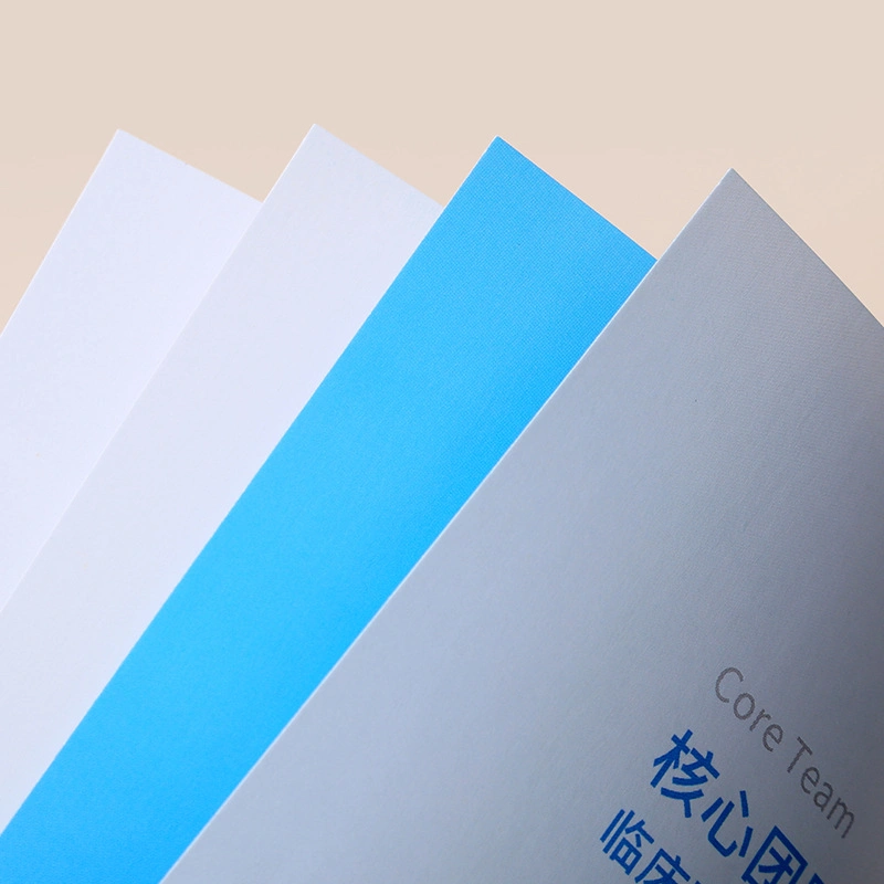 Professionelle Katalog Druck Tri Fold Bedienungsanleitung Katalog Custom Broschüre Drucken