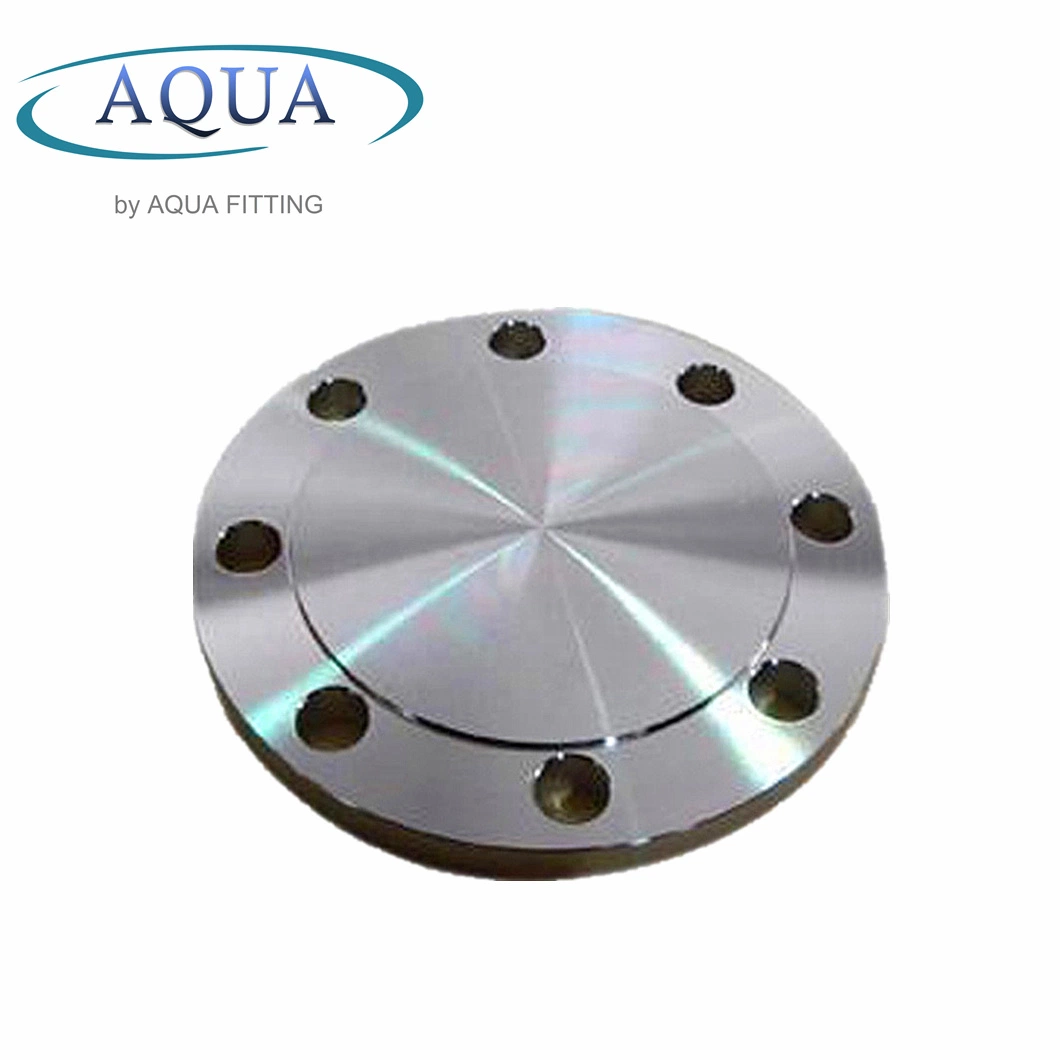 Forging/Casting Flanges Oil/Gas RF Blind Flange Carbon Steel Black Flange