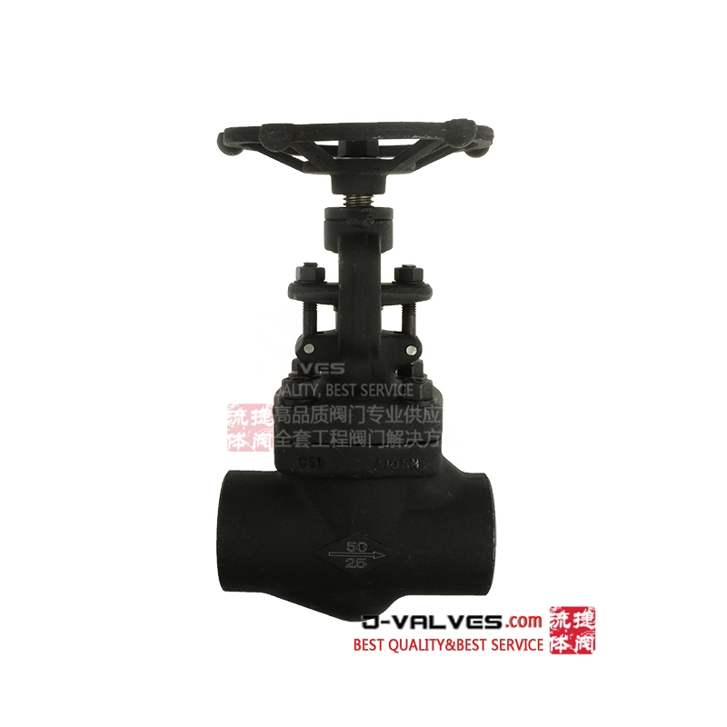 Forged Steel Stainless Socket Welded Globe Valve Tapered Plunger Disc Throttle Needle Type Inflatable/ JIS Snow Globe Valve