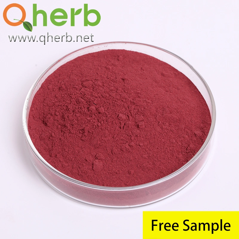 Natural Food Ingredient Functional Red Fermented Rice Powder/Red Kojic Rice Powder for Cooking