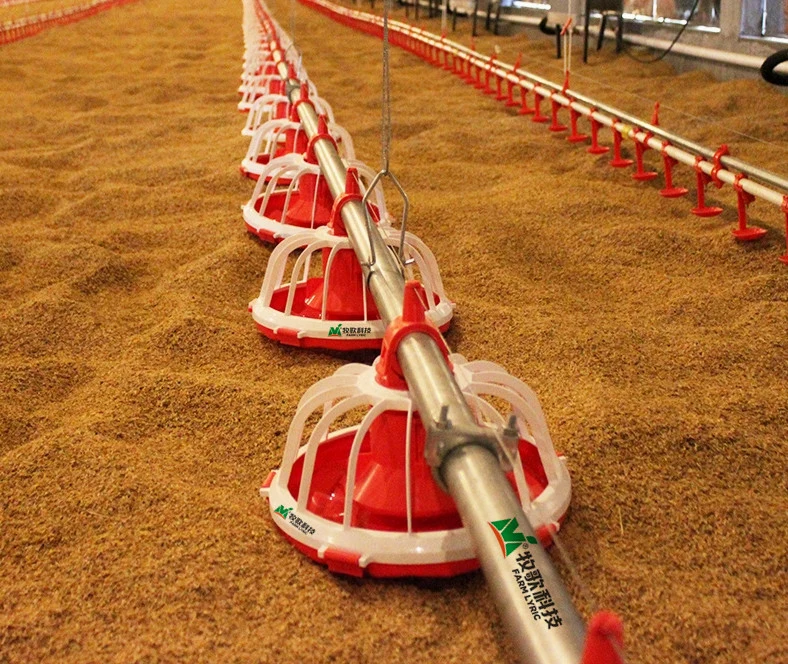 Geflügelfarm Automatische Fütterungslinie /Fütterungssystem/Mehr Vögel Vogelfutteranlage