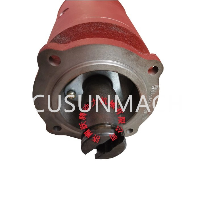 Jinan Chidong Diesel Engine DC Motor 307.54.04