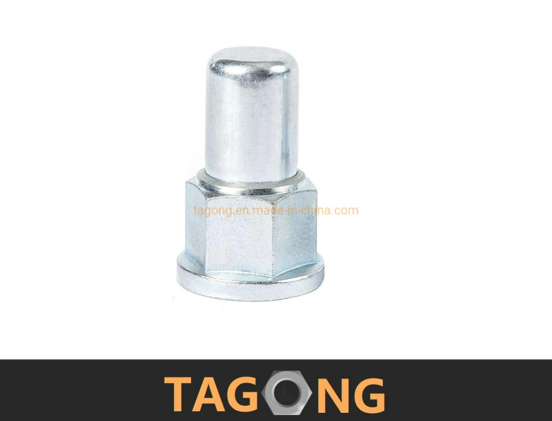 Zinc Plated Carbon Steel Nut DIN1587 DIN917 Acorn Nut Cap Nut