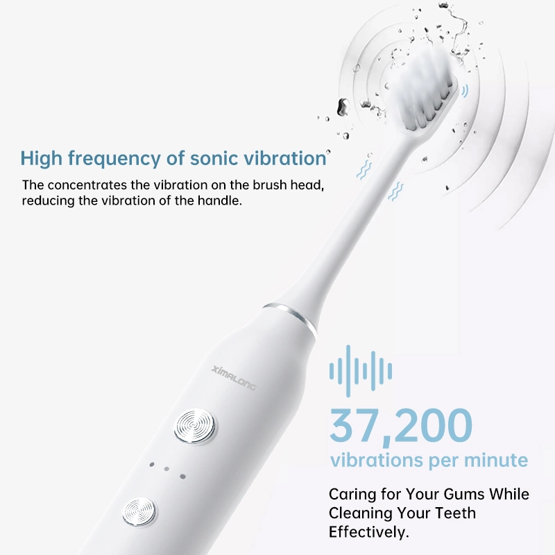 La Ronda de adultos Mayorista/Proveedor cepillo de dientes eléctrico automático de ultrasonidos Sonic electrónica inteligente OEM Cepillo de dientes eléctrico de 2022.