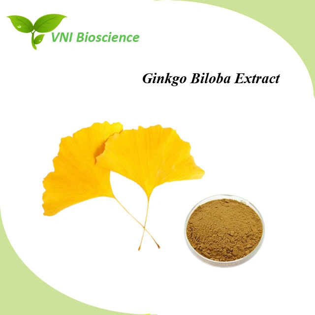 Extracto de Ginkgo Biloba 100% Natural con certificado kosher Halal