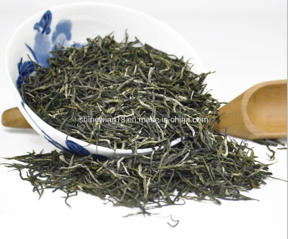 Slimmed Green Mao Jian Wholesale Chinese Tea