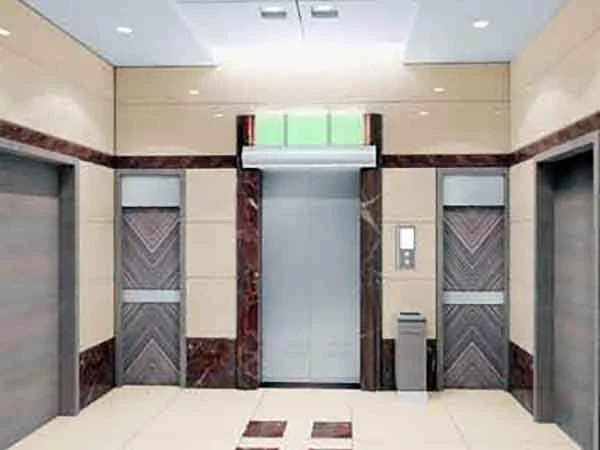 1.0m/S Stable Quality Home Building Passenger Elevator Lift