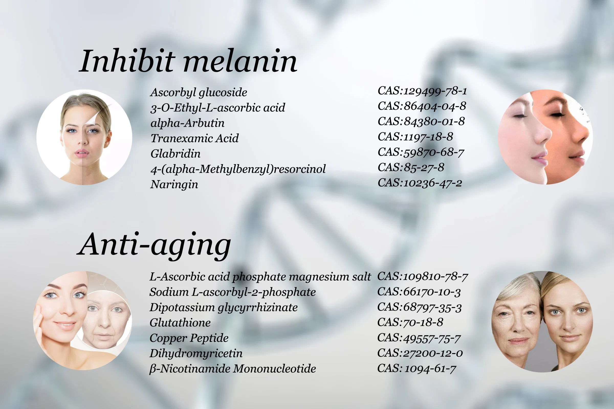 99% Nad CAS 53-84-9 Beta Nicotinamide Adenine Dinucleotide