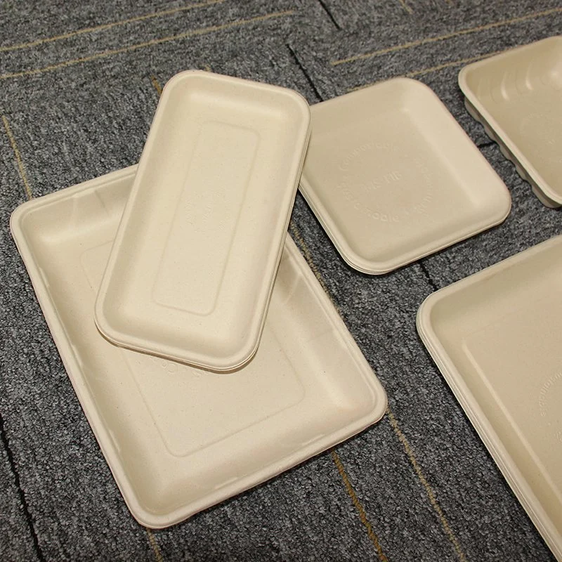 Bolivia Wholesale/Suppliers Bagasse Plant Fiber Green Food Degrade Packaging Supermarket Vegetable and Fruit Bagasse Tray