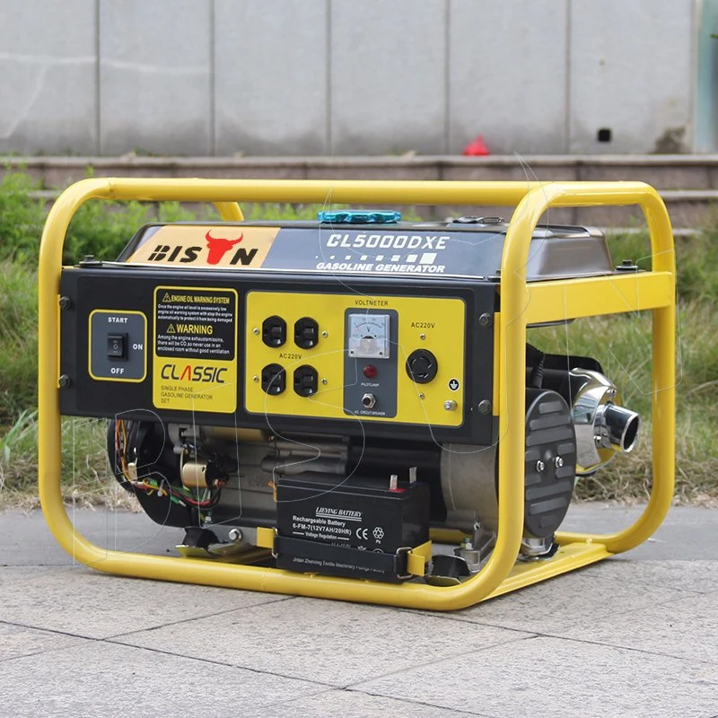 Bison Sale Factory Price Small Portable Mini Gas Generator