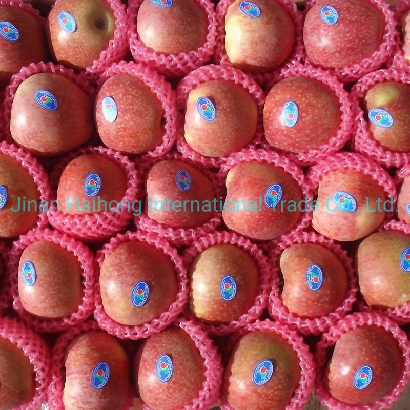 Chinese Fruit Good Quality Wholesale Fresh FUJI Apple