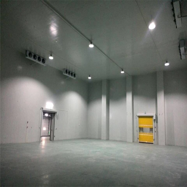 Vegetable and Fruit Walk in Chiller, Prefabricated Cold Room