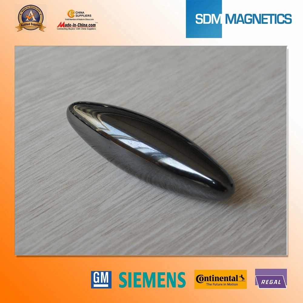 Special Shape Epoxy Magnet with Pass The Ts 164949